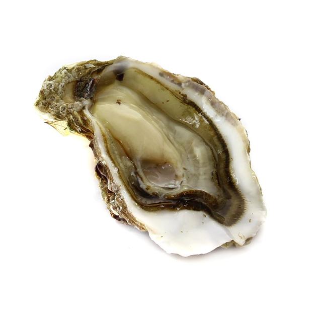 3448104326539 - Lamaison - Huître n° 3 Fine de Claire Marennes Oléron IGP