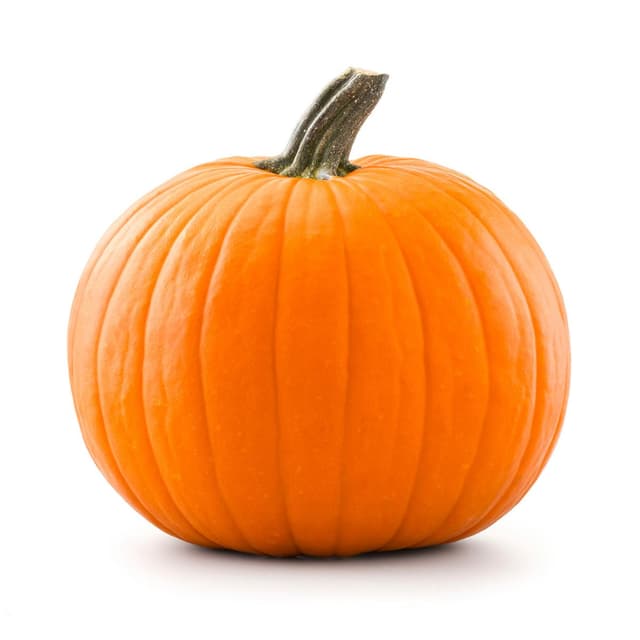 2050000374869 - - Citrouille Jack O'Lantern (Non comestible)