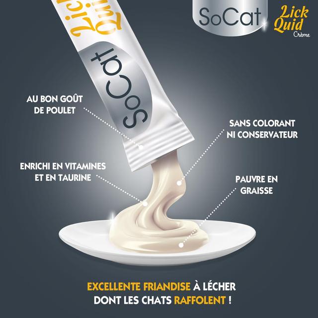 3166780062670 - Riga Socat - Snack liquide au Poulet - Friandise pour Chat