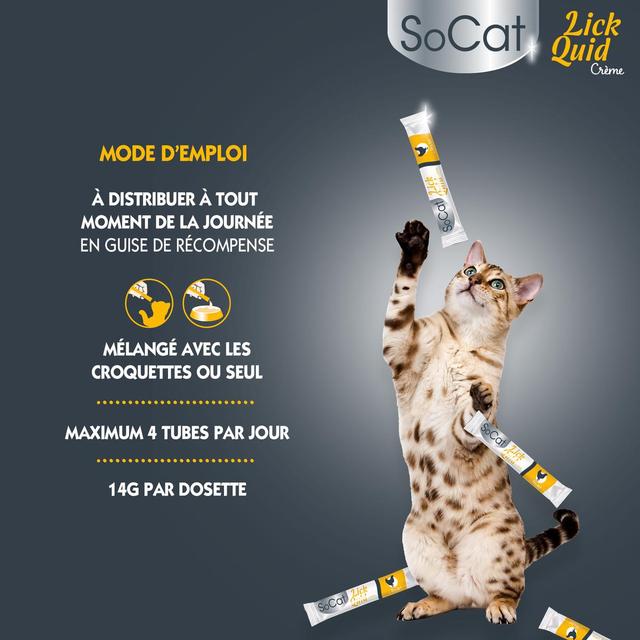 3166780062670 - Riga Socat - Snack liquide au Poulet - Friandise pour Chat