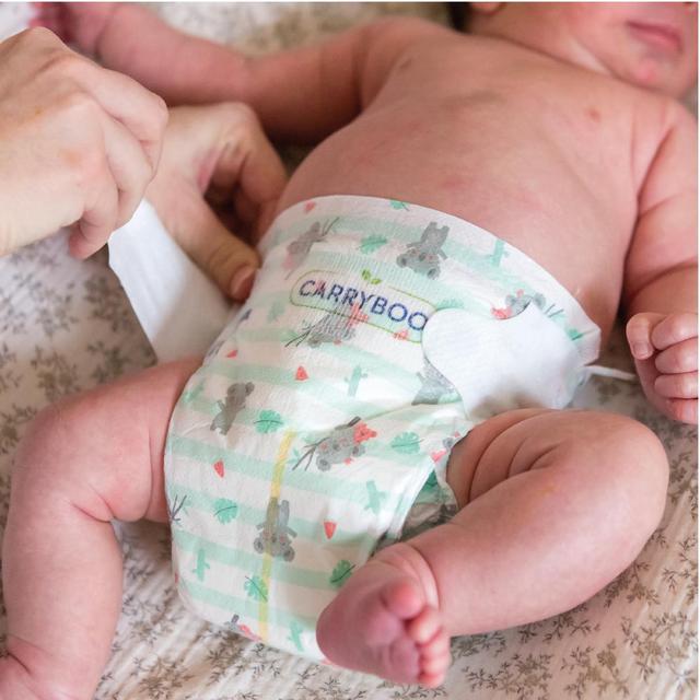 3760001769371 - Carryboo Nature - Couches naturelles et chou T2 (3-6kg)