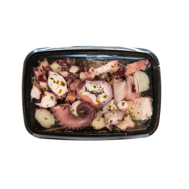 8033803491777 - Galileo - Poulpe Mariné