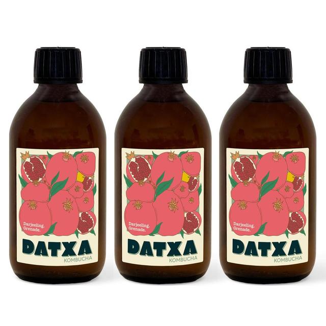 2050000392078 - Datxa - Kombucha Darjeeling Bio