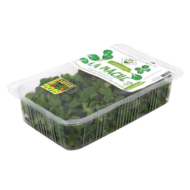 3760114461780 - PicVert - Mâche Jeune Pousse
