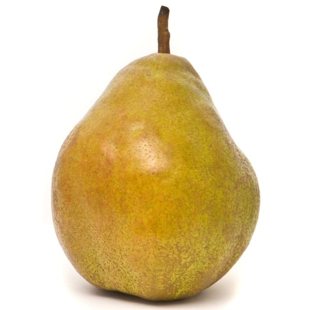 2050000373381 - - Poire Guyot
