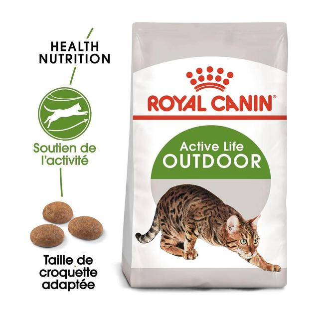 3182550707381 - Royal Canin - Croquettes Outdoor Active Life Soutien de l'Activité pour Chat Adulte d'Extérieur