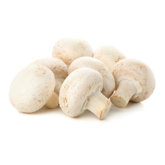 3588050006137 - Fort & Vert - Champignon Blanc Bio