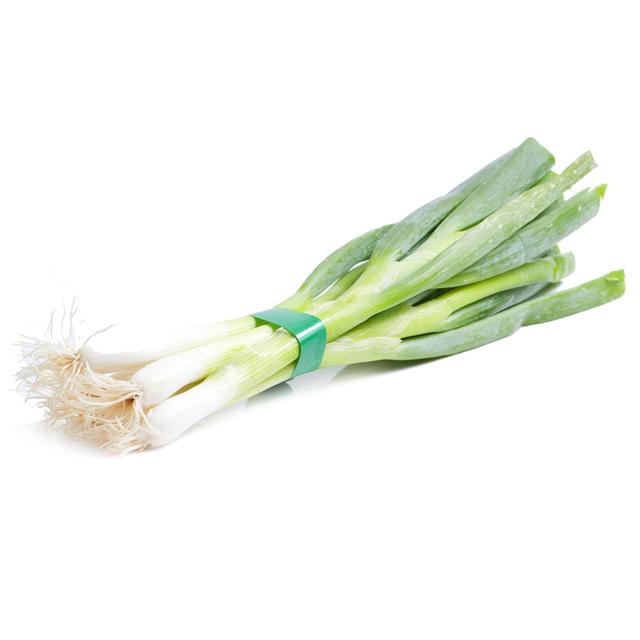 3664641005786 - Les Paysans Bio - Oignon Cébette Bio