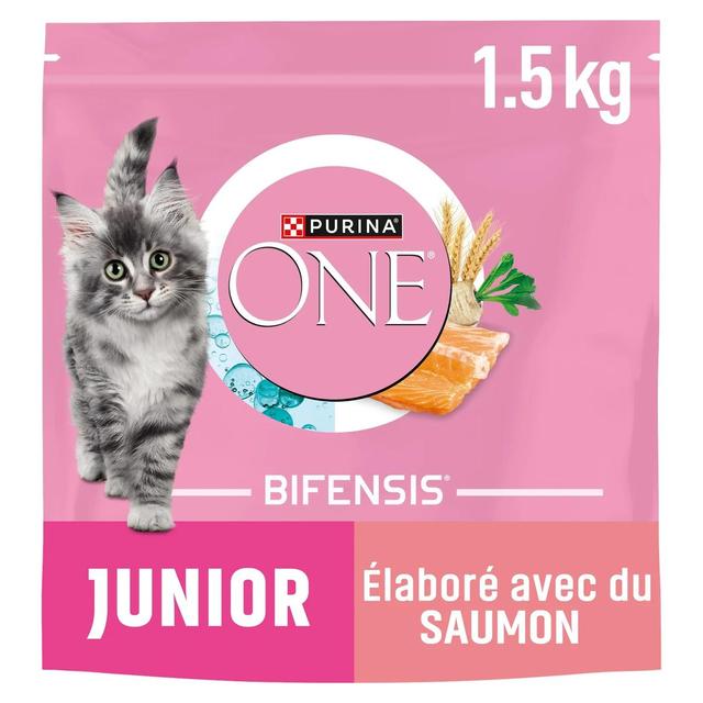 8445290938091 - Purina - One - Croquettes Saumon pour Chaton