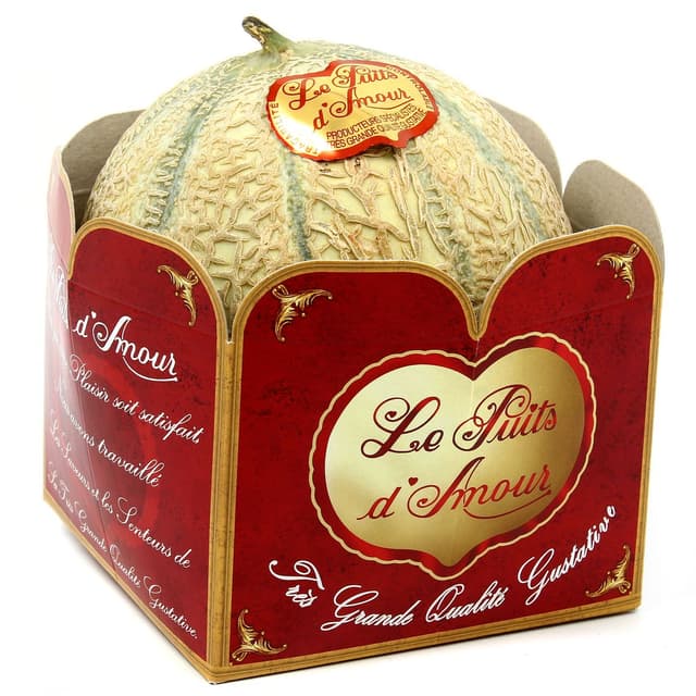 2050000338991 - Le Puits d'Amour - Melon Charentais