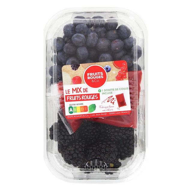 3385630006194 - - Duo Mûre / Myrtille + Coulis