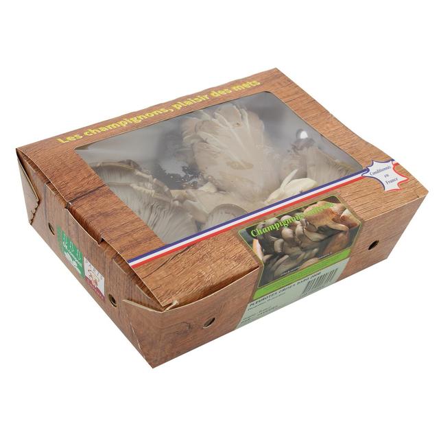 3700758906995 - - Champignon Pleurote