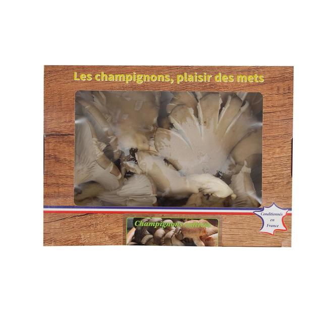 3700758906995 - - Champignon Pleurote