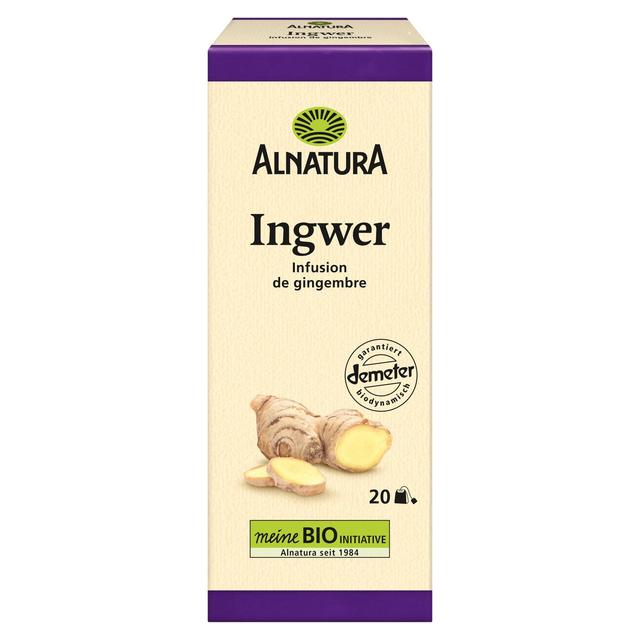 4104420210196 - Alnatura - Infusion de Gingembre bio - 20 Sachets
