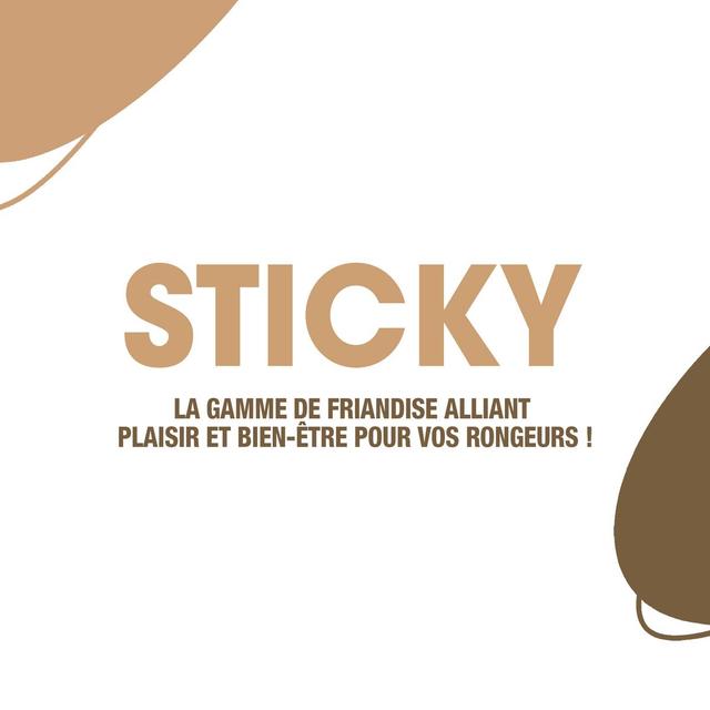 3166780025996 - Riga Sticky - Baguettes aux Légumes pour rongeur
