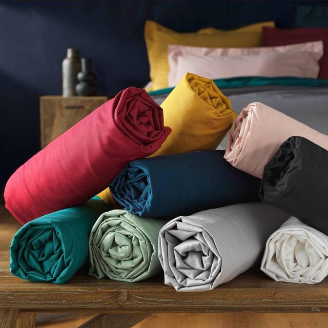 3574386445498 - Douceur D Interieur - Drap housse blanc 2 personnes