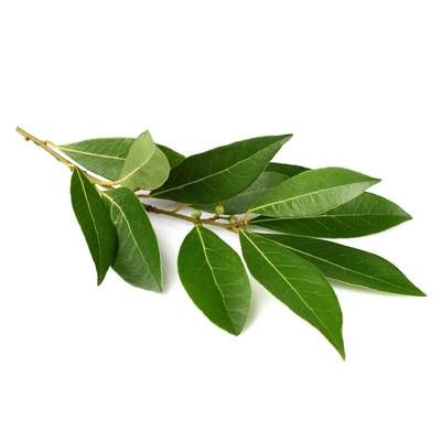 Laurier, Sachet de 30g