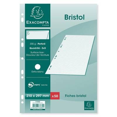 Exacompta Fiches bristol A4 21x29,7 cm petits carreaux perforées, 50  fiches