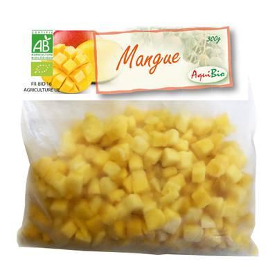 3516459300402 - Aquibio - Mangue Bio en cubes
