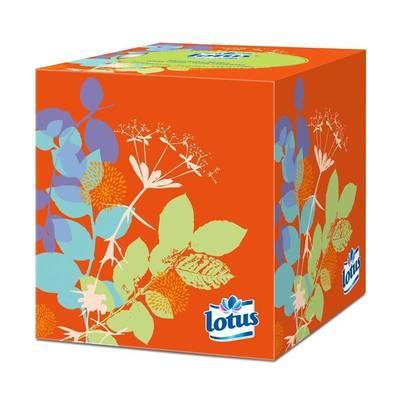 3133200153102 - Lotus - Mouchoirs blancs boîte cubique