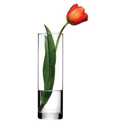8693357051508 - Botanica - Vase forme droite en verre