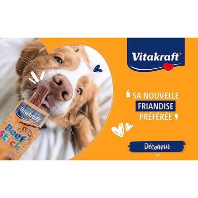 4008239120809 - Vitakraft Beef Stick - Bâtonnets Bœuf - Friandise Récompense pour chien