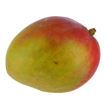 2050000425110 - Prodiva - Mangue Bio