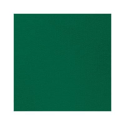 Paperproducts Design Serviettes en papier Vert foncé, 20 serviettes de 33 x 33 cm