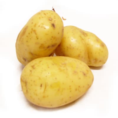 3338510250224 - - FDV Pdt de nos Régions filet 2,5kg