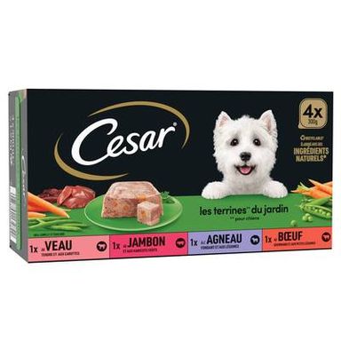 César Barquettes Terrines du Jardin 4 variétés pour chien adulte, 4x300g