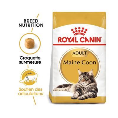 3182550710640 - Royal Canin - Croquettes sur mesure Soutien des Articulations pour Chat Maine Coon Adulte