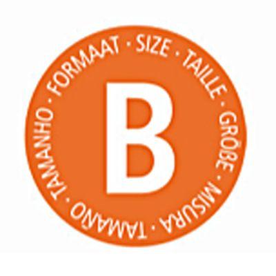 8710755311741 - Brabantia - Sacs poubelle 5L - Taille B