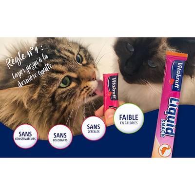 7610376164249 - Vitakraft Liquid - Snack Poulet et Dinde - Friandise pour Chat