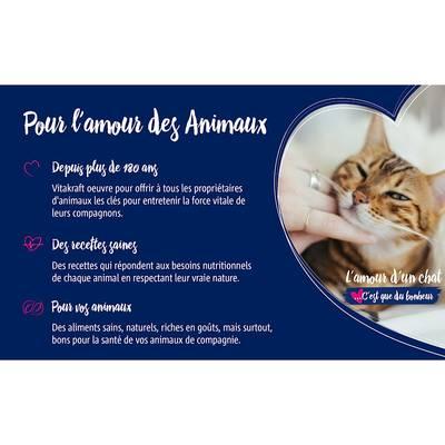 7610376164249 - Vitakraft Liquid - Snack Poulet et Dinde - Friandise pour Chat