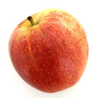 Thomas Le Prince Pomme Gala