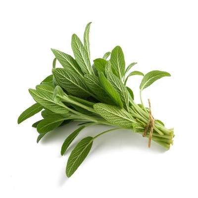 Sauge, Sachet de 30g