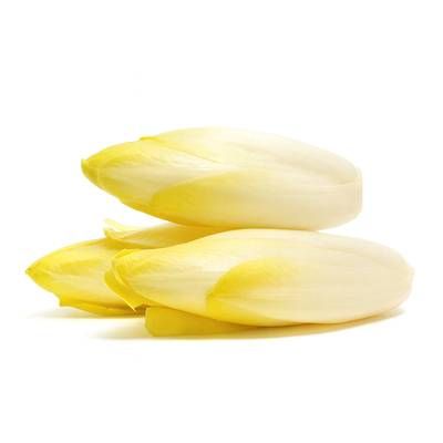 Endive