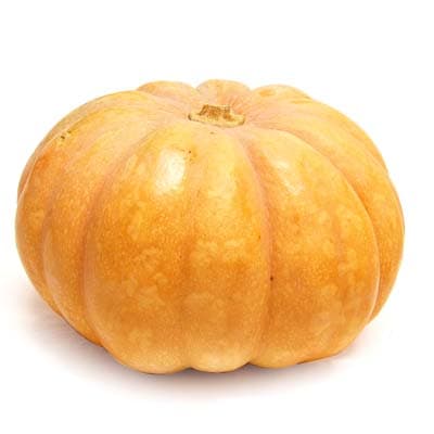 2050000397981 - - Courge Muscade