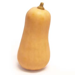 Fermes Debout Courge Butternut Locale