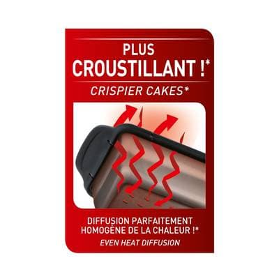 3168430286696 - Tefal - Moule à cake silicone rétractable CRISPYBAKE