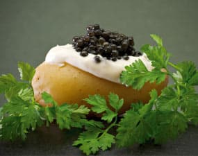 Pomme de terre moscovite