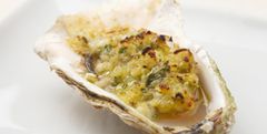 Huîtres gratinées en persillade